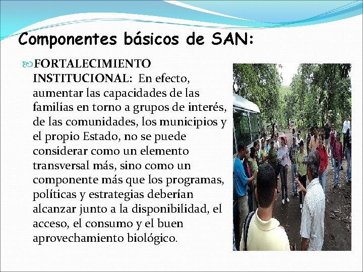 Componentes básicos de SAN: FORTALECIMIENTO INSTITUCIONAL: En efecto, aumentar las capacidades de las familias