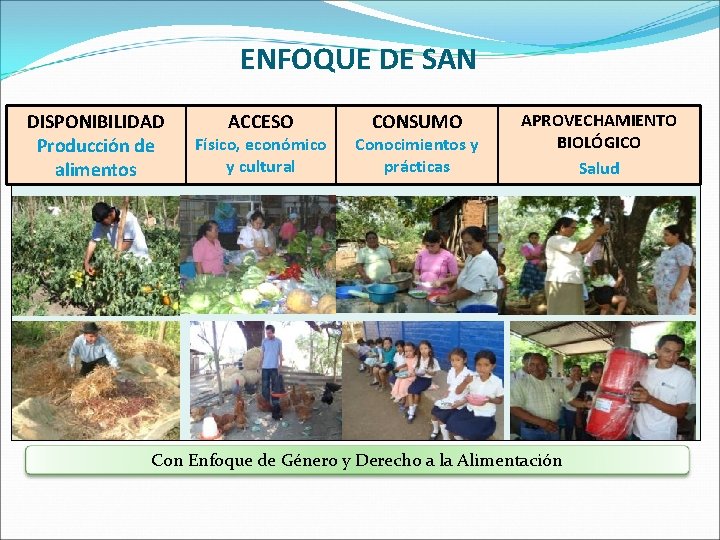 ENFOQUE DE SAN DISPONIBILIDAD Producción de alimentos ACCESO Físico, económico y cultural CONSUMO Conocimientos