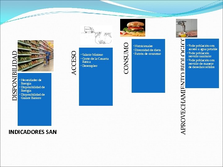 APROVECHAMIENTO BIOLOGICO INDICADORES SAN CONSUMO ACCESO DISPONIBILIDAD • Necesidades de Energía • Disponibilidad de