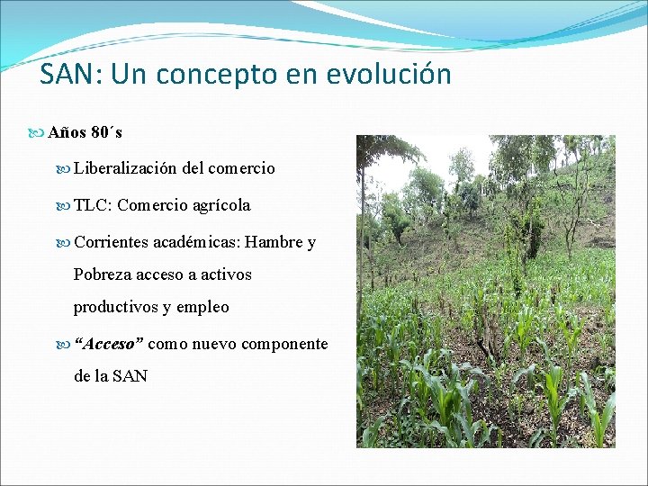SAN: Un concepto en evolución Años 80´s Liberalización del comercio TLC: Comercio agrícola Corrientes