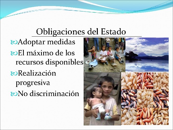 Obligaciones del Estado Adoptar medidas El máximo de los recursos disponibles Realización progresiva No