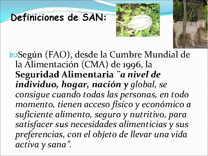 Definiciones de SAN: Según (FAO), desde la Cumbre Mundial de la Alimentación (CMA) de
