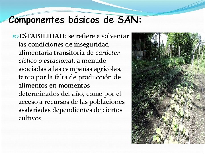 Componentes básicos de SAN: ESTABILIDAD: se refiere a solventar las condiciones de inseguridad alimentaria