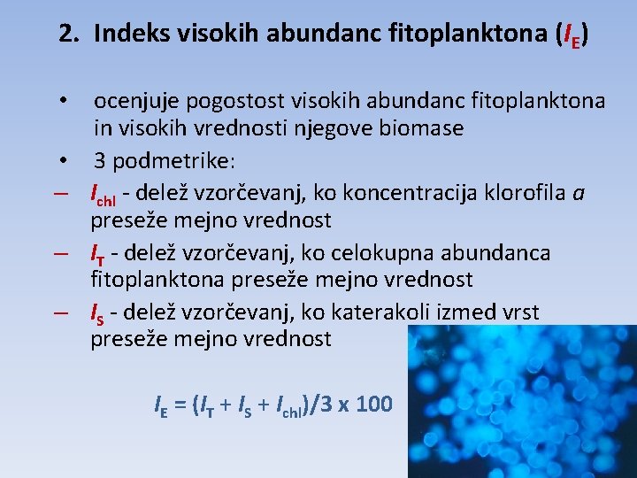 2. Indeks visokih abundanc fitoplanktona (IE) • • – – – ocenjuje pogostost visokih