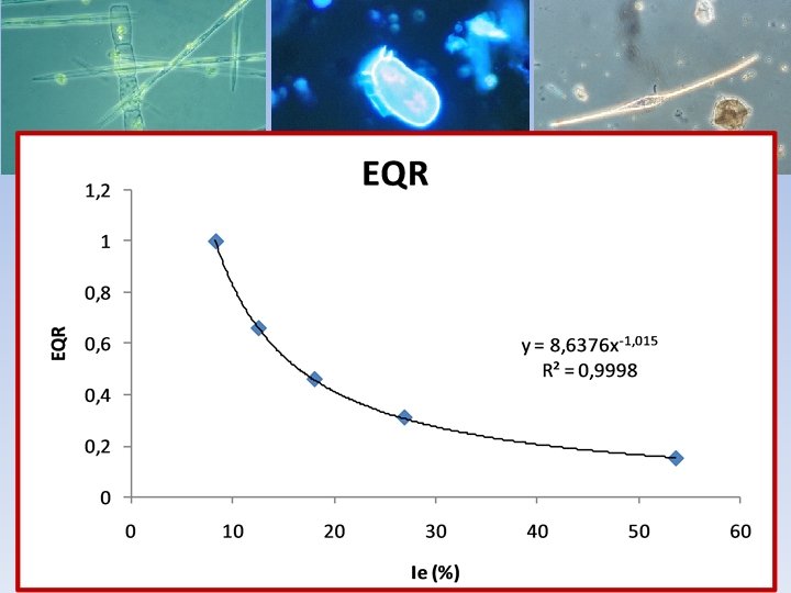 18, 06% 12, 54% 8, 33% 3, 515 
