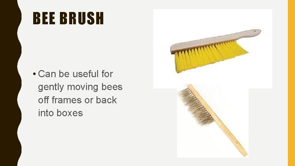 BEE BRUSH • Can be useful for gently moving bees off frames or back