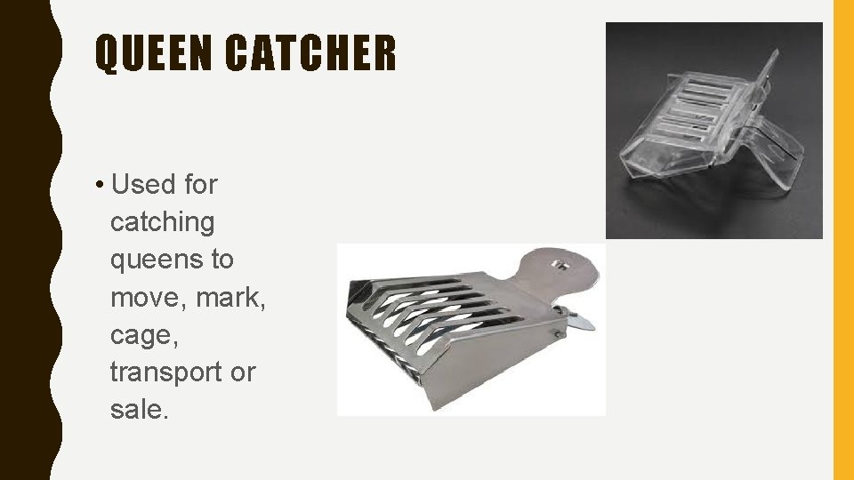 QUEEN CATCHER • Used for catching queens to move, mark, cage, transport or sale.