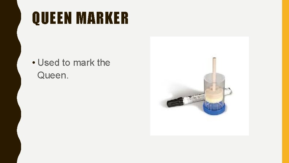 QUEEN MARKER • Used to mark the Queen. 