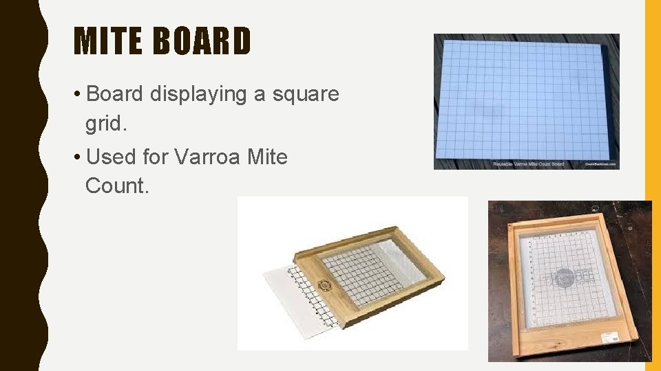 MITE BOARD • Board displaying a square grid. • Used for Varroa Mite Count.