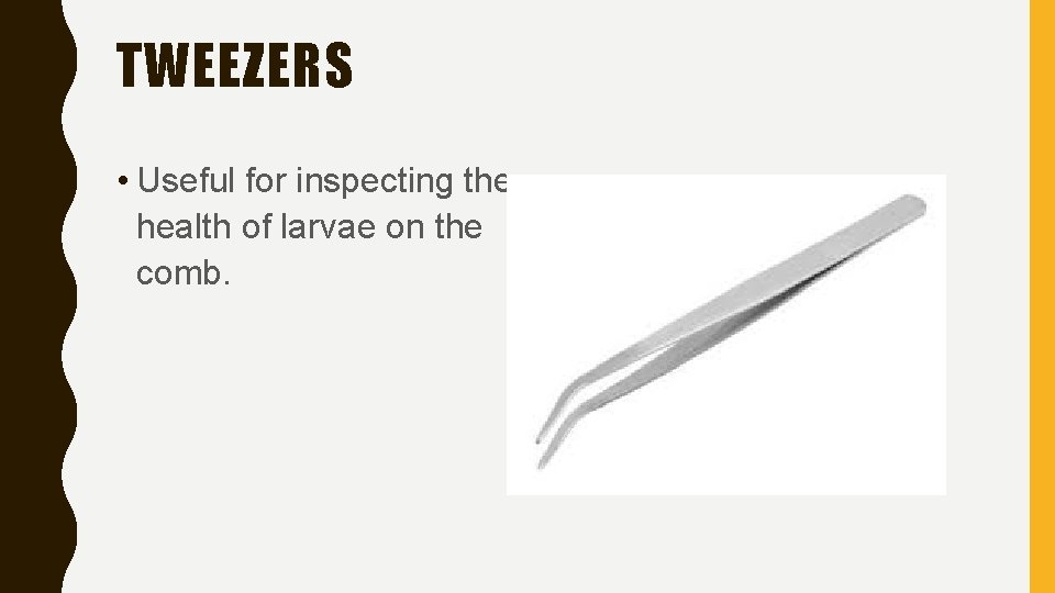 TWEEZERS • Useful for inspecting the health of larvae on the comb. 