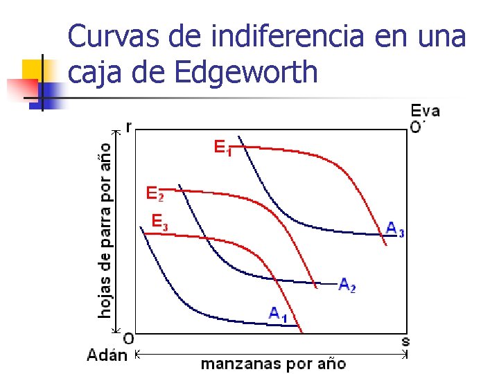 Curvas de indiferencia en una caja de Edgeworth 