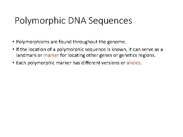 Polymorphic DNA Sequences • Polymorphisms are found throughout the genome. • If the location