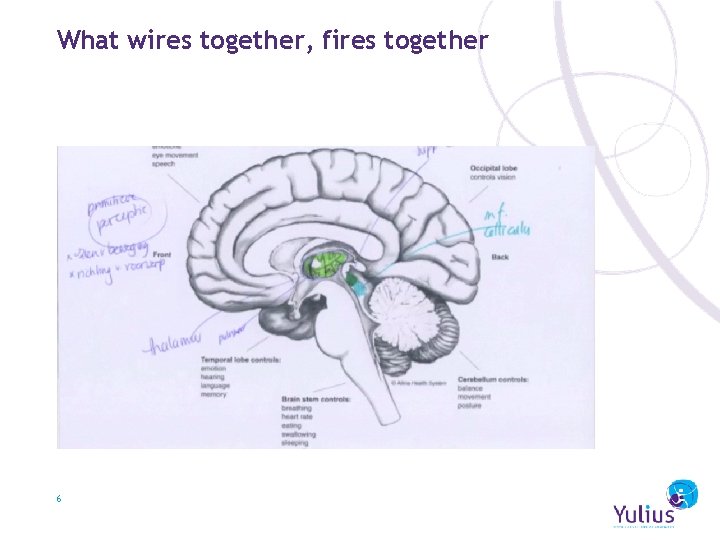 What wires together, fires together 6 