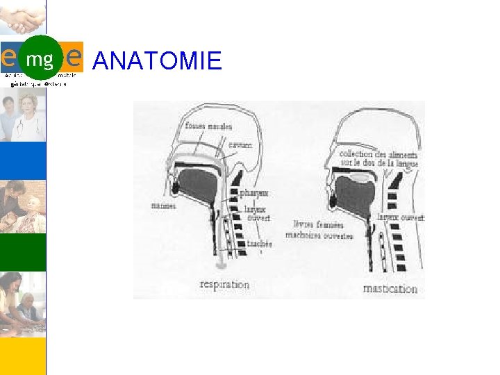 ANATOMIE 