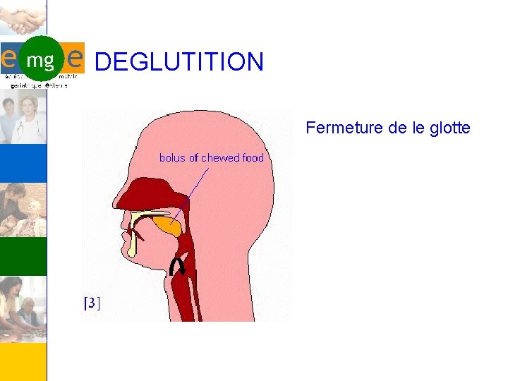 DEGLUTITION Fermeture de le glotte 