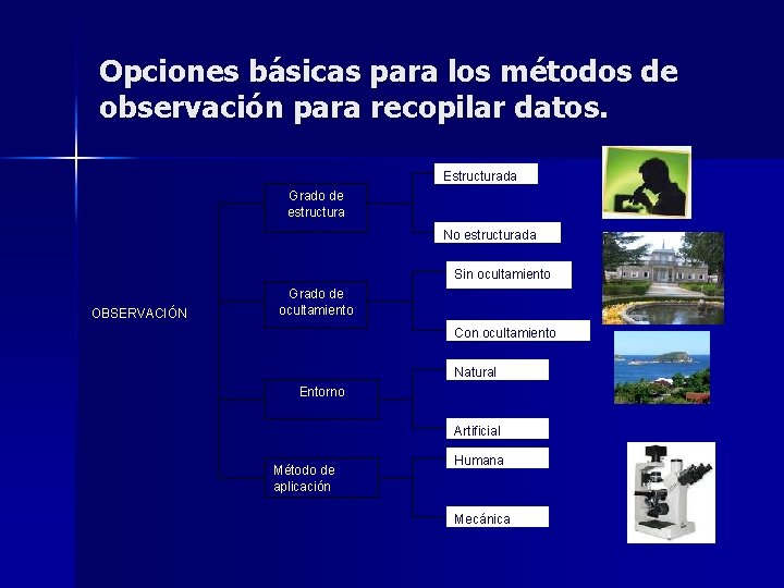 Opciones básicas para los métodos de observación para recopilar datos. Estructurada Grado de estructura