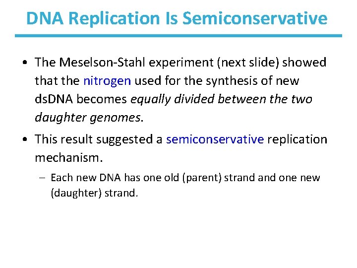 DNA Replication Is Semiconservative • The Meselson-Stahl experiment (next slide) showed that the nitrogen