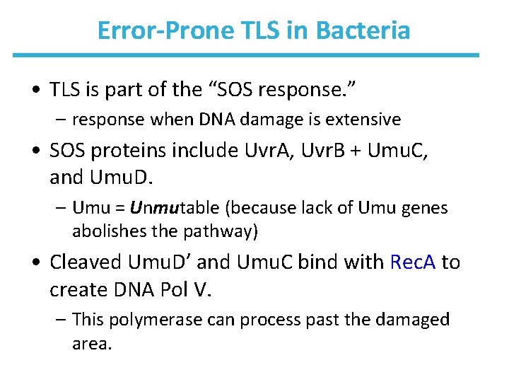 Error-Prone TLS in Bacteria • TLS is part of the “SOS response. ” –