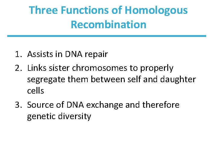 Three Functions of Homologous Recombination 1. Assists in DNA repair 2. Links sister chromosomes