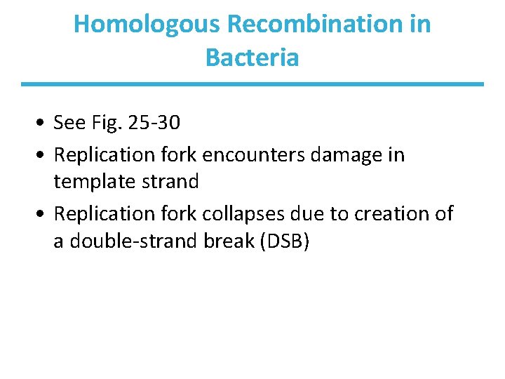 Homologous Recombination in Bacteria • See Fig. 25 -30 • Replication fork encounters damage