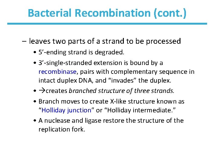 Bacterial Recombination (cont. ) – leaves two parts of a strand to be processed