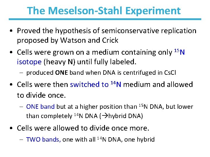 The Meselson-Stahl Experiment • Proved the hypothesis of semiconservative replication proposed by Watson and
