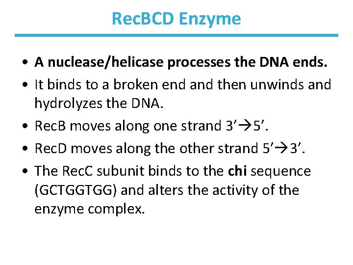 Rec. BCD Enzyme • A nuclease/helicase processes the DNA ends. • It binds to