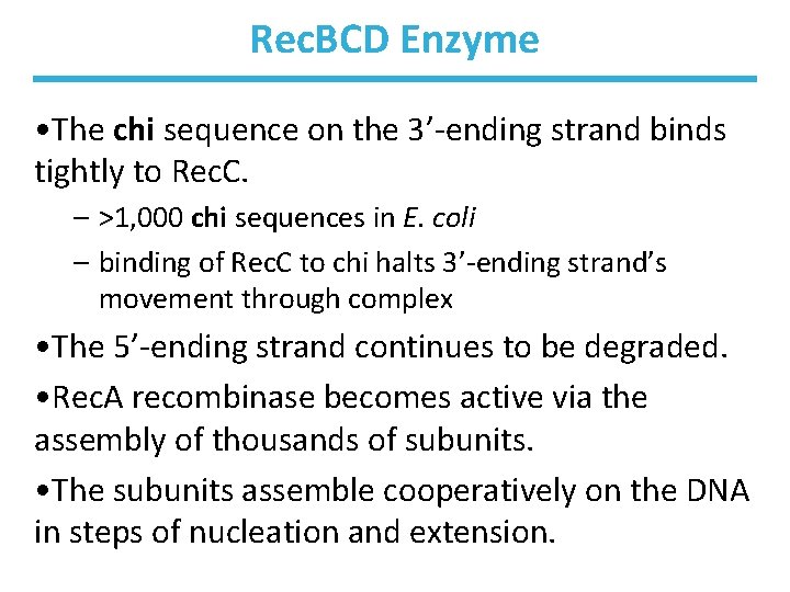 Rec. BCD Enzyme • The chi sequence on the 3’-ending strand binds tightly to