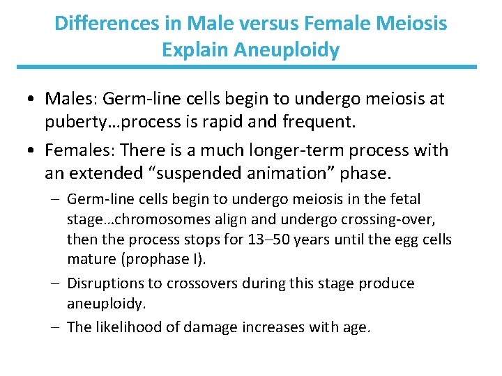 Differences in Male versus Female Meiosis Explain Aneuploidy • Males: Germ-line cells begin to