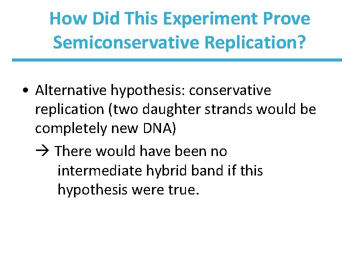 How Did This Experiment Prove Semiconservative Replication? • Alternative hypothesis: conservative replication (two daughter