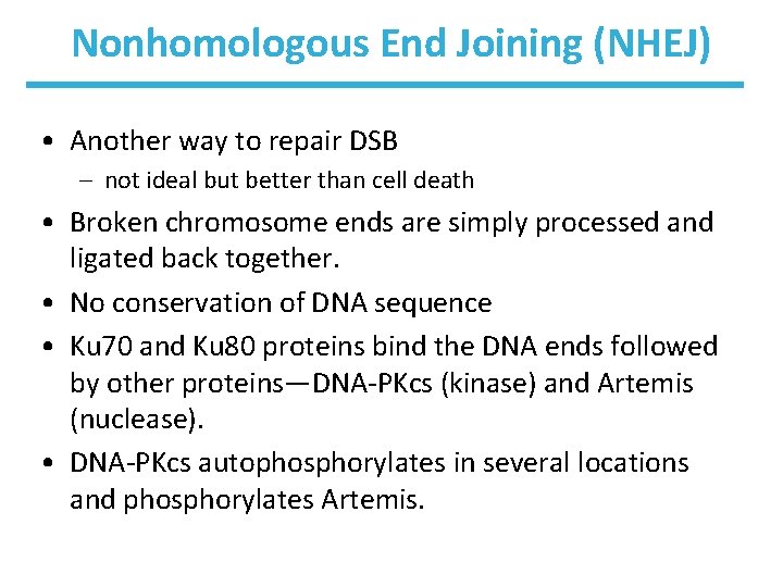 Nonhomologous End Joining (NHEJ) • Another way to repair DSB – not ideal but
