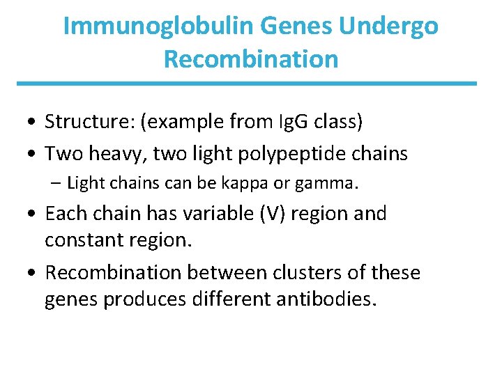 Immunoglobulin Genes Undergo Recombination • Structure: (example from Ig. G class) • Two heavy,