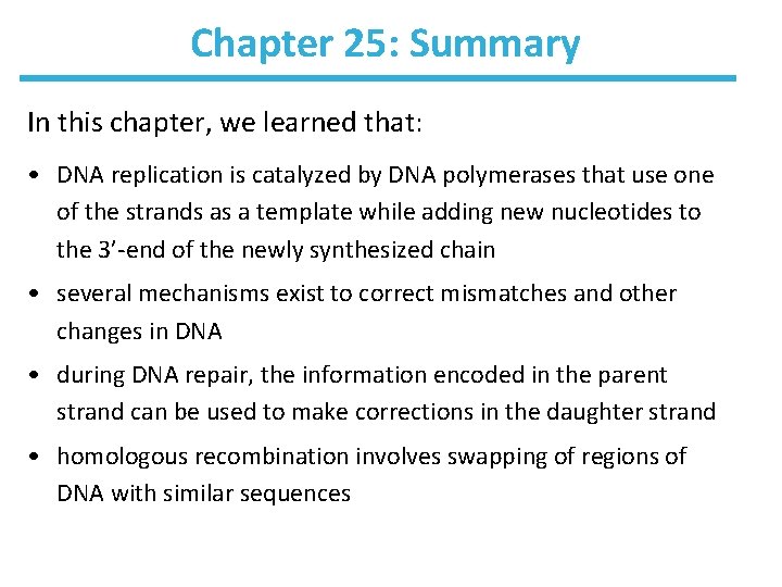 Chapter 25: Summary In this chapter, we learned that: • DNA replication is catalyzed