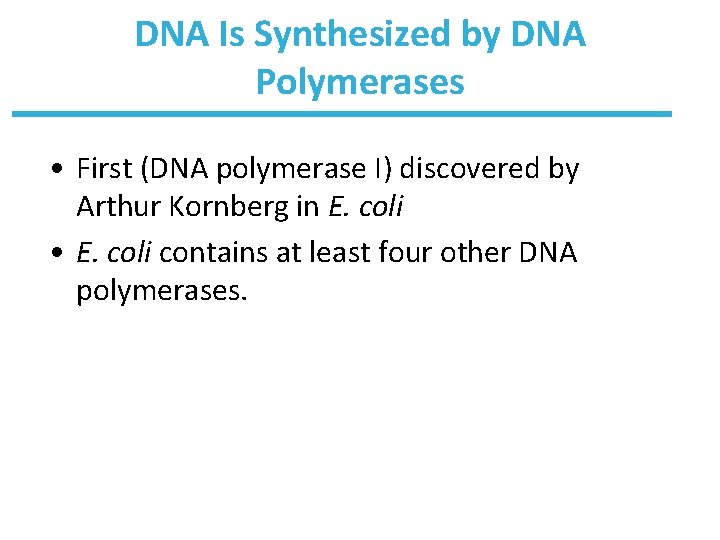 DNA Is Synthesized by DNA Polymerases • First (DNA polymerase I) discovered by Arthur