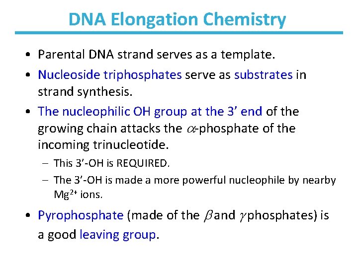 DNA Elongation Chemistry • Parental DNA strand serves as a template. • Nucleoside triphosphates