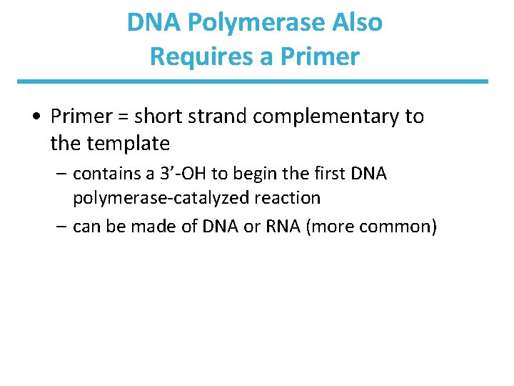 DNA Polymerase Also Requires a Primer • Primer = short strand complementary to the