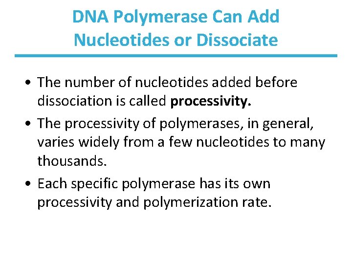 DNA Polymerase Can Add Nucleotides or Dissociate • The number of nucleotides added before