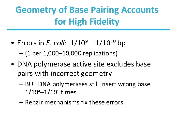 Geometry of Base Pairing Accounts for High Fidelity • Errors in E. coli: 1/109