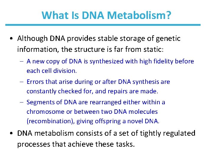 What Is DNA Metabolism? • Although DNA provides stable storage of genetic information, the