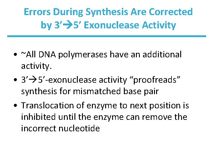 Errors During Synthesis Are Corrected by 3’ 5’ Exonuclease Activity • ~All DNA polymerases