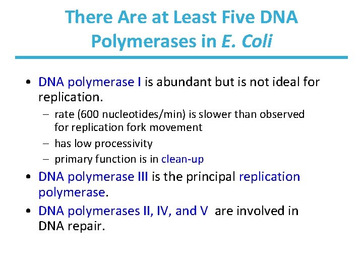 There Are at Least Five DNA Polymerases in E. Coli • DNA polymerase I