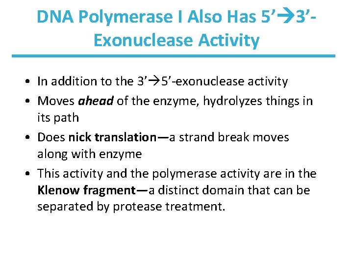 DNA Polymerase I Also Has 5’ 3’Exonuclease Activity • In addition to the 3’