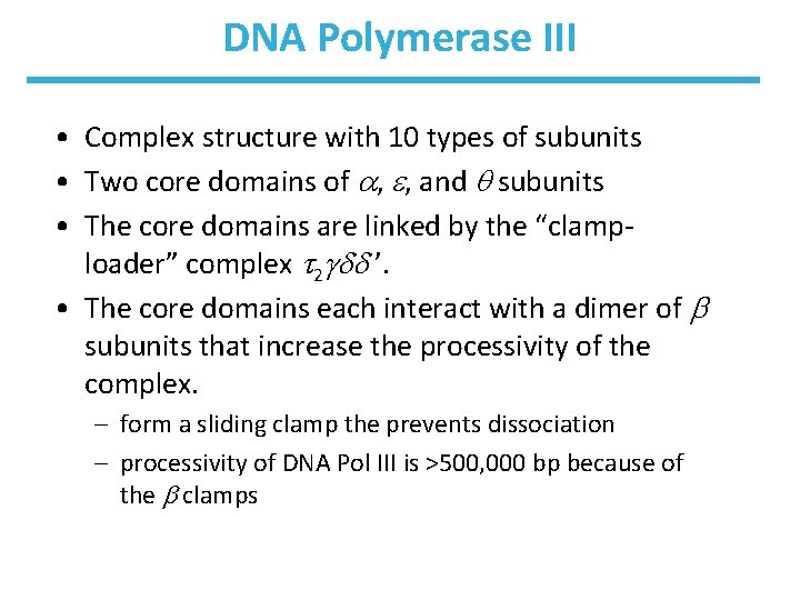 DNA Polymerase III • Complex structure with 10 types of subunits • Two core