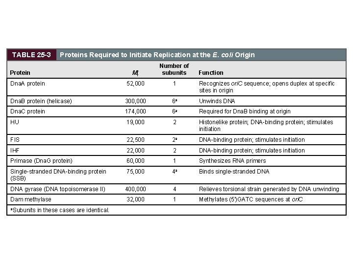TABLE 25 -3 Proteins Required to Initiate Replication at the E. coli Origin Mr