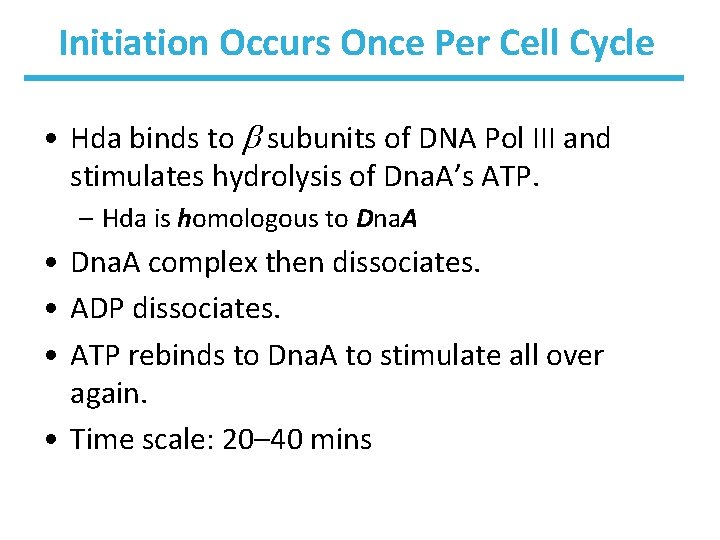 Initiation Occurs Once Per Cell Cycle • Hda binds to subunits of DNA Pol