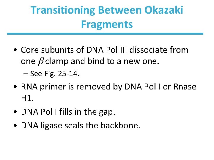 Transitioning Between Okazaki Fragments • Core subunits of DNA Pol III dissociate from one