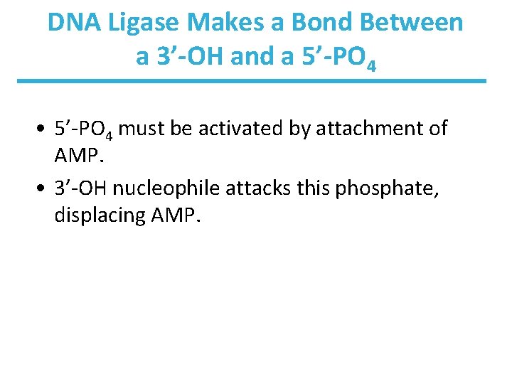DNA Ligase Makes a Bond Between a 3’-OH and a 5’-PO 4 • 5’-PO