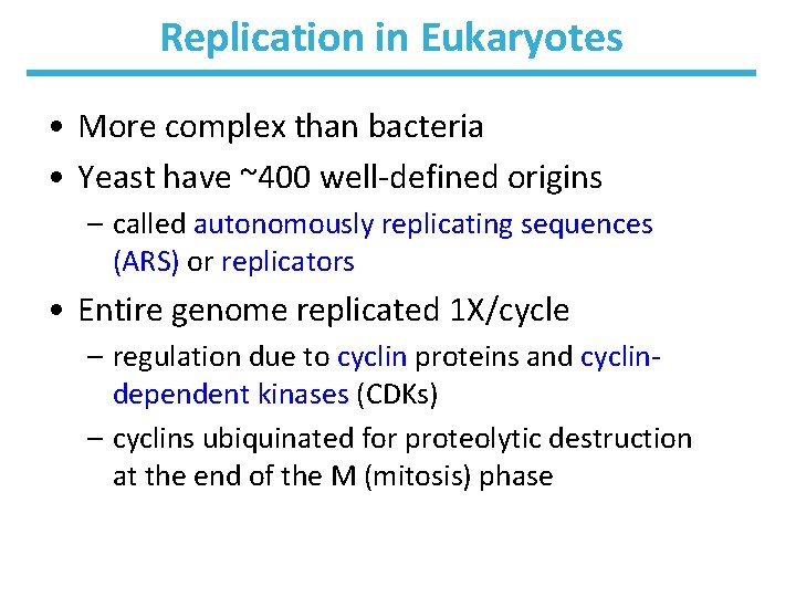 Replication in Eukaryotes • More complex than bacteria • Yeast have ~400 well-defined origins