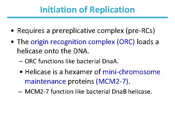 Initiation of Replication • Requires a prereplicative complex (pre-RCs) • The origin recognition complex