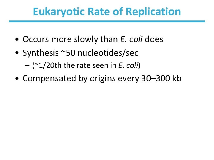 Eukaryotic Rate of Replication • Occurs more slowly than E. coli does • Synthesis
